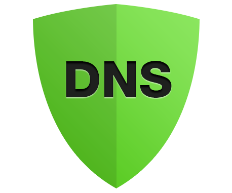 通过PureVPN的DNS泄漏保护来保护您的DNS，这可以确保您的在线活动的最大程度的保密。